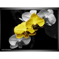 Foto canvas schilderij Orchidee | Geel, Zwart, Grijs 