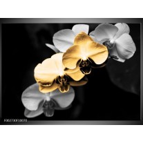 Foto canvas schilderij Orchidee | Oranje, Zwart, Grijs 