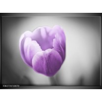 Foto canvas schilderij Tulp | Paars, Grijs, Wit 