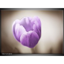 Foto canvas schilderij Tulp | Paars, Grijs, Wit 