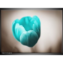 Foto canvas schilderij Tulp | Blauw, Wit, Grijs 