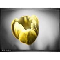 Foto canvas schilderij Tulp | Geel, Wit, Grijs 