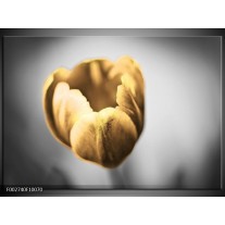 Foto canvas schilderij Tulp | Goud, Wit, Grijs 