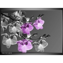 Foto canvas schilderij Orchidee | Grijs, Paars, Zwart 