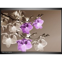 Foto canvas schilderij Orchidee | Bruin, Paars 