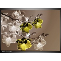 Foto canvas schilderij Orchidee | Groen, Bruin 