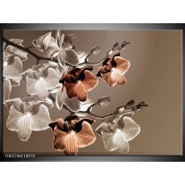 Foto canvas schilderij Orchidee | Grijs, Bruin 