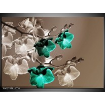 Foto canvas schilderij Orchidee | Groen, Bruin, Grijs 