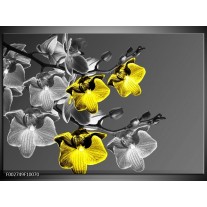 Foto canvas schilderij Orchidee | Zwart, Geel, Grijs 