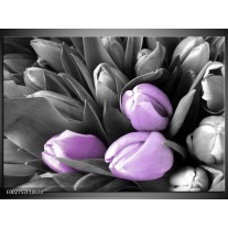 Foto canvas schilderij Orchidee | Paars, Zwart, Grijs 