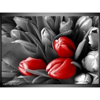 Foto canvas schilderij Orchidee | Grijs, Rood, Zwart 