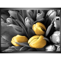 Foto canvas schilderij Orchidee | Grijs, Geel, Zwart 