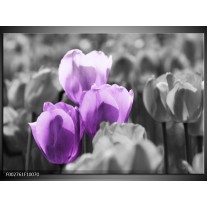 Foto canvas schilderij Tulpen | Paars, Grijs, Zwart 