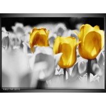 Glas schilderij Tulpen | Geel, Grijs, Wit 