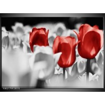 Foto canvas schilderij Tulpen | Rood, Grijs, Wit 