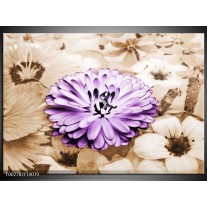 Foto canvas schilderij Bloem | Paars, Bruin 