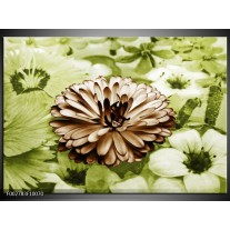 Foto canvas schilderij Bloem | Groen, Bruin 