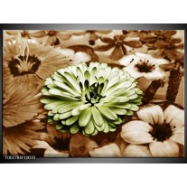 Foto canvas schilderij Bloem | Groen, Bruin 