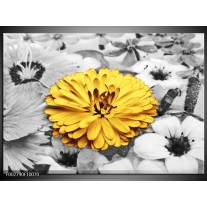 Foto canvas schilderij Bloem | Geel, Grijs 