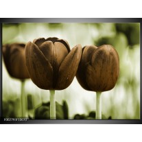 Foto canvas schilderij Tulpen | Bruin, Groen 