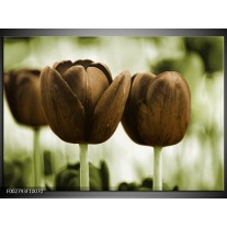 Glas schilderij Tulpen | Bruin, Groen 