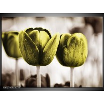 Foto canvas schilderij Tulpen | Bruin, Groen 