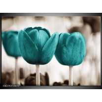 Glas schilderij Tulpen | Blauw, Wit, Grijs 