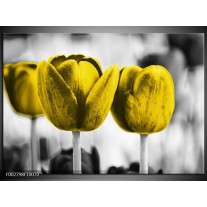 Foto canvas schilderij Tulpen | Geel, Wit, Grijs 