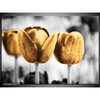 Glas schilderij Tulpen | Goud, Wit, Grijs 