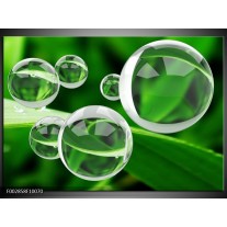 Foto canvas schilderij Cirkel | Groen, Wit 