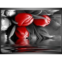 Foto canvas schilderij Tulpen | Rood, Grijs, Zwart 
