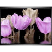 Glas schilderij Tulpen | Paars, Grijs 