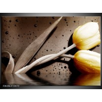 Glas schilderij Tulpen | Geel, Bruin 