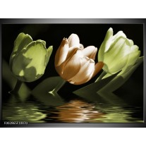 Glas schilderij Tulpen | Groen, Bruin 