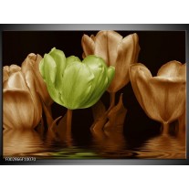 Glas schilderij Tulpen | Groen, Bruin 