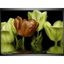 Foto canvas schilderij Tulpen | Groen, Bruin 