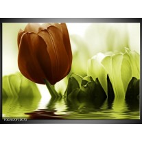 Foto canvas schilderij Tulpen | Groen, Bruin 