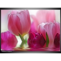 Foto canvas schilderij Tulpen | Roze, Wit, Groen 