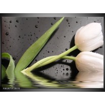 Foto canvas schilderij Tulpen | Wit, Groen, Grijs 