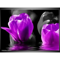 Foto canvas schilderij Tulpen | Paars, Zwart, Grijs 