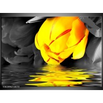 Foto canvas schilderij Tulpen | Geel, Grijs, Zwart 