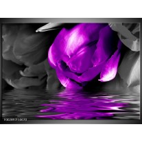 Foto canvas schilderij Tulpen | Paars, Grijs, Zwart 