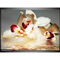 Foto canvas schilderij Orchidee | Wit, Grijs, Rood 
