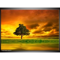 Foto canvas schilderij Natuur | Groen, Bruin, Wit 