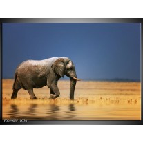 Foto canvas schilderij Olifant | Blauw, Grijs, Geel 