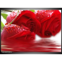 Foto canvas schilderij Roos | Rood, Grijs, Wit 