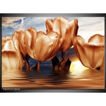 Foto canvas schilderij Tulpen | Bruin, Geel, Blauw 