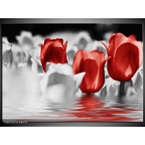 Foto canvas schilderij Tulpen | Grijs, Rood 