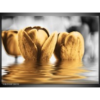 Foto canvas schilderij Tulpen | Zwart, Goud, Grijs 