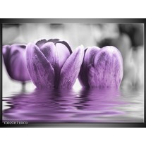 Glas schilderij Tulpen | Paars, Grijs, Zwart 
